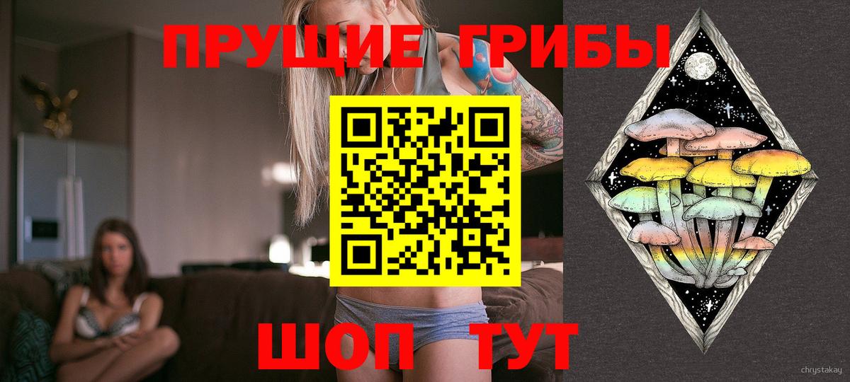 Сызрань  Галлюциногенные грибы мухоморы  Вход с VPN 